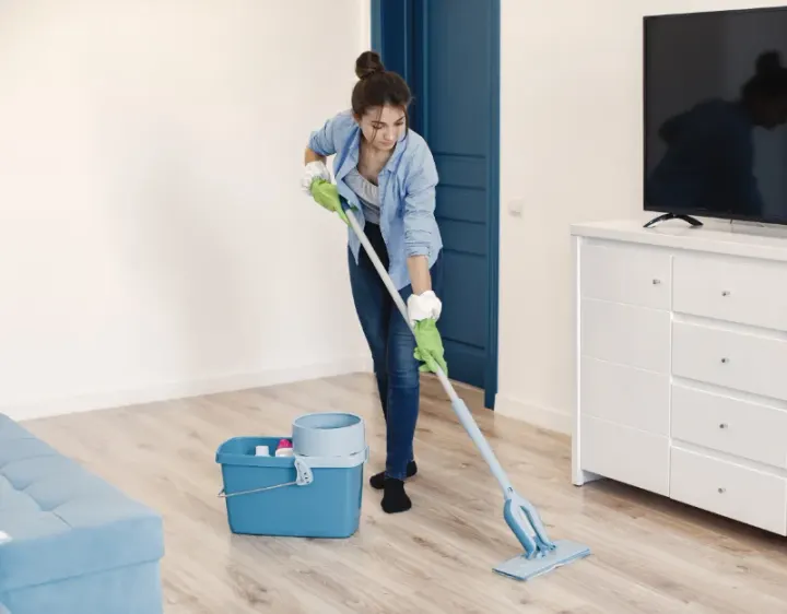 Femme de ménage Concremiers